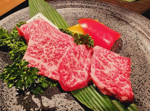 ＼つくし交流会開催！／[R8.3.6]求職者さんの参加大歓迎です★|つくし訪問看護ステーション